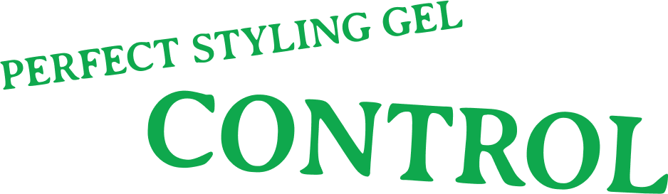 PERFECT STYLING GEL CONTROL