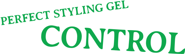 PERFECT STYLING GEL CONTROL