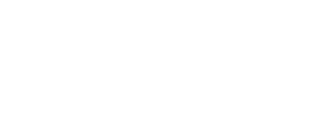 PLAY! PERFECT STYLING